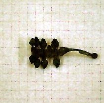 [Crossbow Fibula, Garment Clasp]